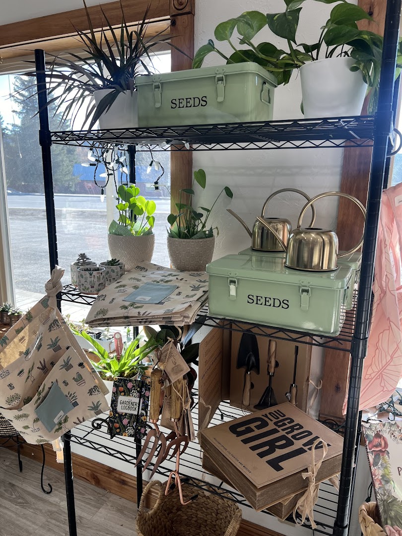 Shop shelves and goods